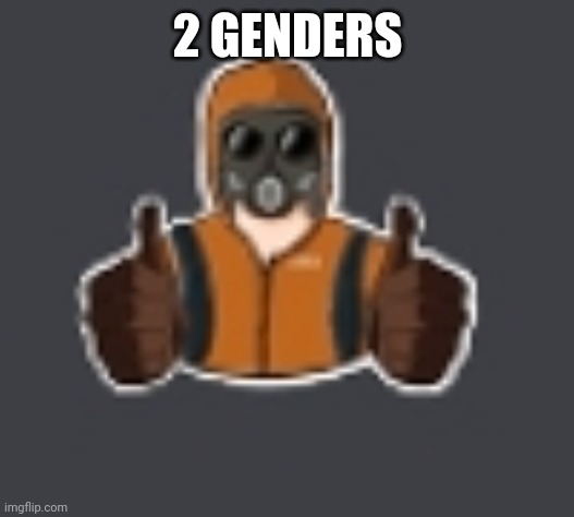 Terrorist thumbs up | 2 GENDERS | image tagged in terrorist thumbs up | made w/ Imgflip meme maker