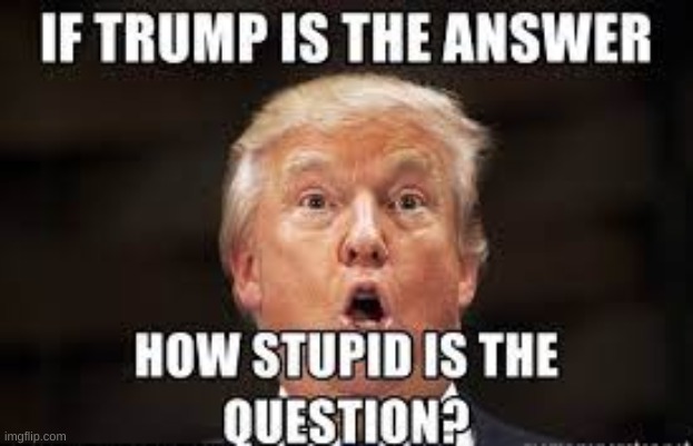 The question must be VEEEERY stupid for orangy to be the answer | made w/ Imgflip meme maker