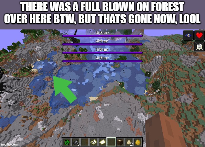 THERE WAS A FULL BLOWN ON FOREST OVER HERE BTW, BUT THATS GONE NOW, LOOL | made w/ Imgflip meme maker