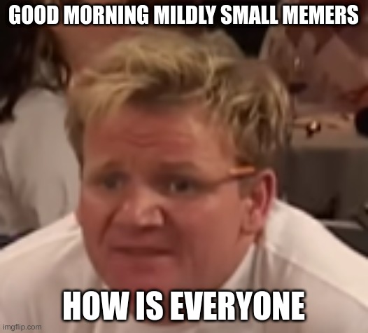 where the lamb sauce | GOOD MORNING MILDLY SMALL MEMERS; HOW IS EVERYONE | image tagged in where the lamb sauce | made w/ Imgflip meme maker