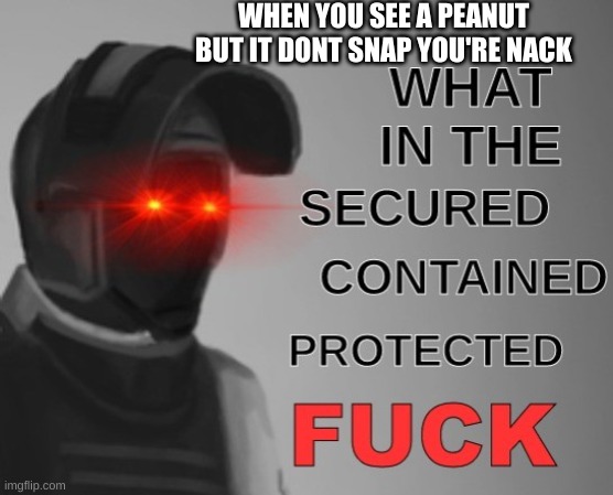 what in scpf |  WHEN YOU SEE A PEANUT BUT IT DONT SNAP YOU'RE NACK | image tagged in what in the scpf | made w/ Imgflip meme maker