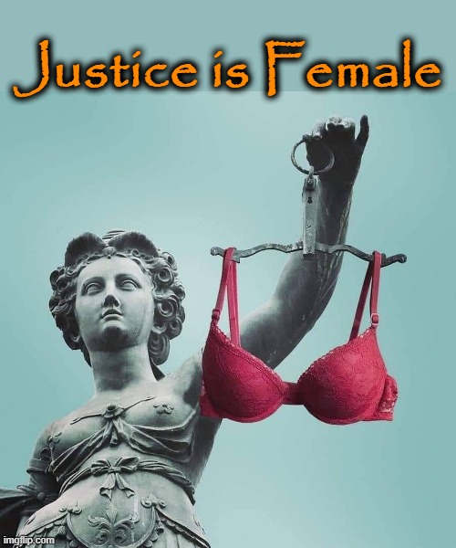 Justice | Justice is Female | image tagged in female | made w/ Imgflip meme maker