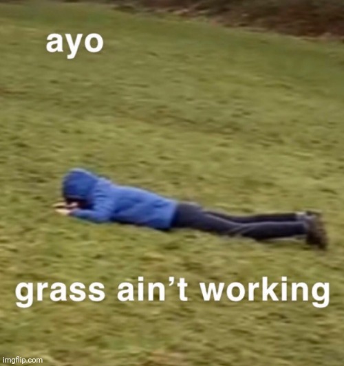 Ayo grass ain't working | image tagged in ayo grass ain't working | made w/ Imgflip meme maker