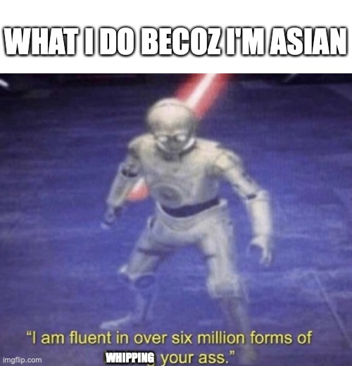 I am fluent in over six million forms of kicking your ass | WHAT I DO BECOZ I'M ASIAN WHIPPING | image tagged in i am fluent in over six million forms of kicking your ass | made w/ Imgflip meme maker