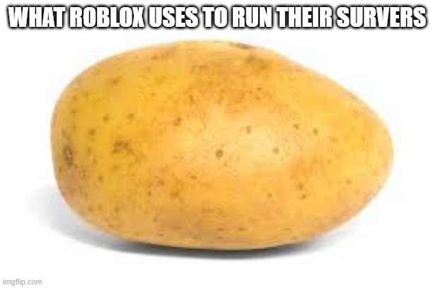 Potato | WHAT ROBLOX USES TO RUN THEIR SURVERS | image tagged in potato | made w/ Imgflip meme maker