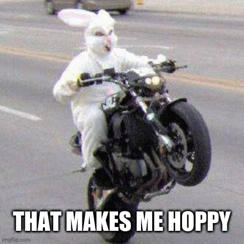 Funny bunny motorcycle wheelie | THAT MAKES ME HOPPY | image tagged in funny bunny motorcycle wheelie | made w/ Imgflip meme maker