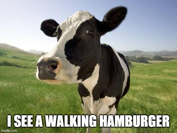 cow | I SEE A WALKING HAMBURGER | image tagged in cow | made w/ Imgflip meme maker