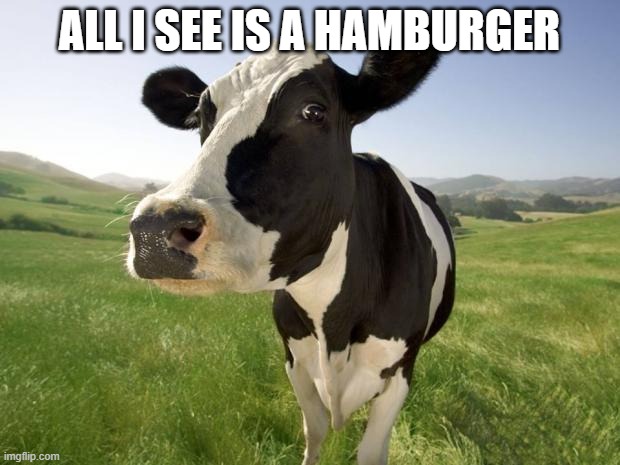 cow | ALL I SEE IS A HAMBURGER | image tagged in cow | made w/ Imgflip meme maker