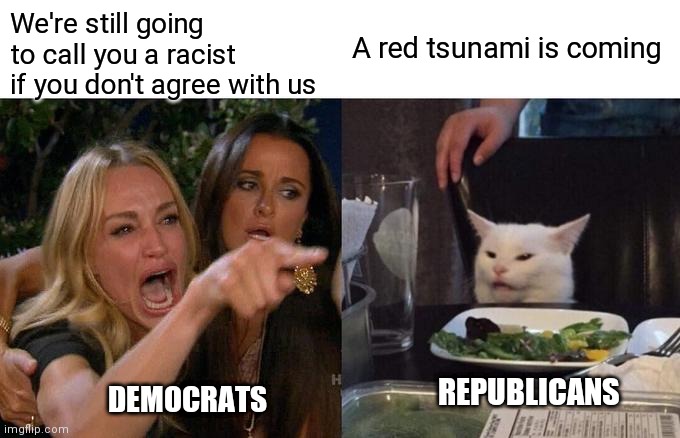 Woman Yelling At Cat Meme | We're still going to call you a racist if you don't agree with us; A red tsunami is coming; REPUBLICANS; DEMOCRATS | image tagged in memes,woman yelling at cat | made w/ Imgflip meme maker