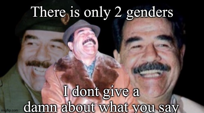 2 genders, 70 disorders | There is only 2 genders; I dont give a damn about what you say | made w/ Imgflip meme maker