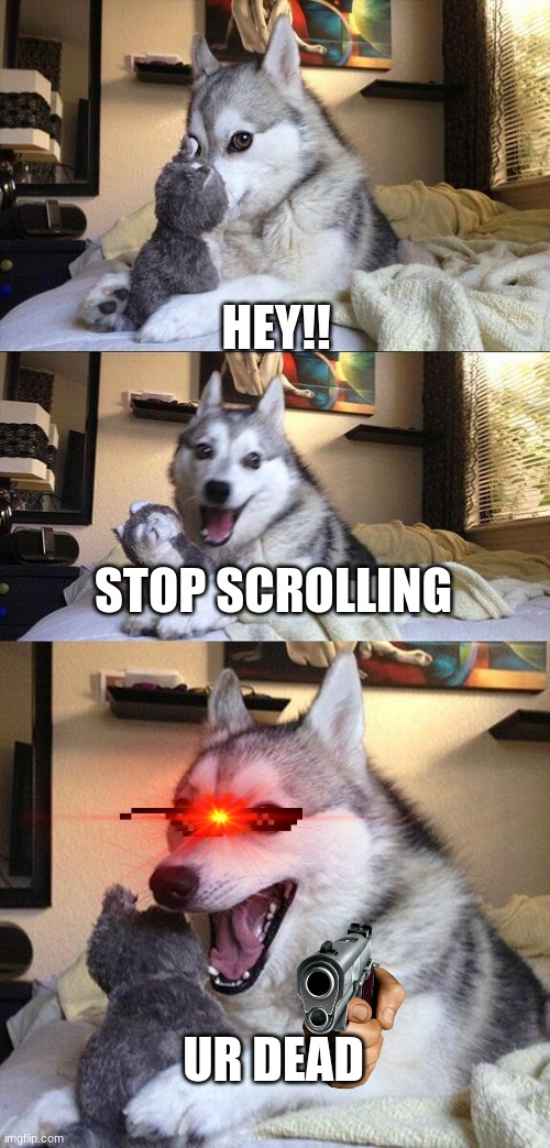 Bad Pun Dog | HEY!! STOP SCROLLING; UR DEAD | image tagged in memes,bad pun dog | made w/ Imgflip meme maker