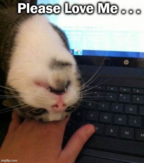 Make Time For The Important Things. . . . | Please Love Me . . . | image tagged in fun,cutie cat,love,time,priorities | made w/ Imgflip meme maker