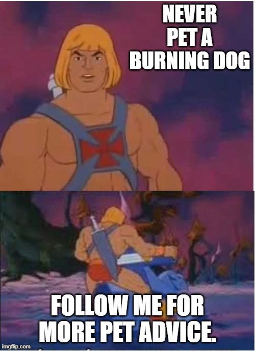 image tagged in funny | made w/ Imgflip meme maker