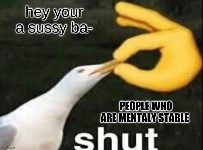 SHUT | hey your a sussy ba-; PEOPLE WHO ARE MENTALY STABLE | image tagged in shut | made w/ Imgflip meme maker