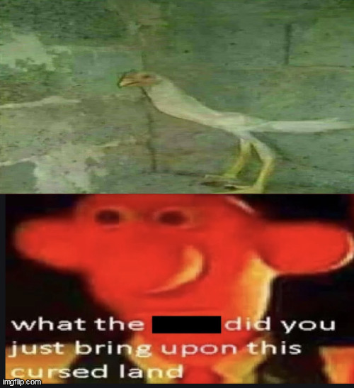 Wait | image tagged in what the did you just bring upon this cursed land,cursed image,waiting,still waiting,guy goes to insert text here | made w/ Imgflip meme maker