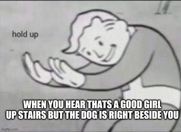 Fallout Hold Up | WHEN YOU HEAR THATS A GOOD GIRL UP STAIRS BUT THE DOG IS RIGHT BESIDE YOU | image tagged in fallout hold up | made w/ Imgflip meme maker