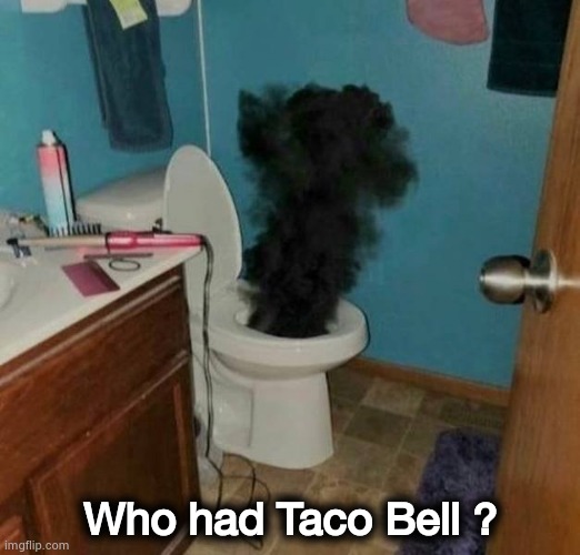 Rejected by a toilet |  Who had Taco Bell ? | image tagged in toilet humor,no more toilet paper,we don't do that here,fast food | made w/ Imgflip meme maker