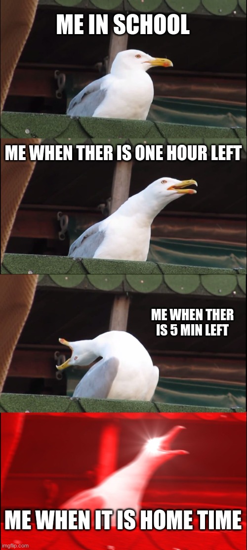 Inhaling Seagull | ME IN SCHOOL; ME WHEN THER IS ONE HOUR LEFT; ME WHEN THER IS 5 MIN LEFT; ME WHEN IT IS HOME TIME | image tagged in memes,inhaling seagull | made w/ Imgflip meme maker