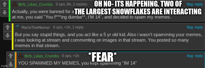 Oh lord- help us god- | OH NO- ITS HAPPENING. TWO OF THE LARGEST SNOWFLAKES ARE INTERACTING; *FEAR* | made w/ Imgflip meme maker