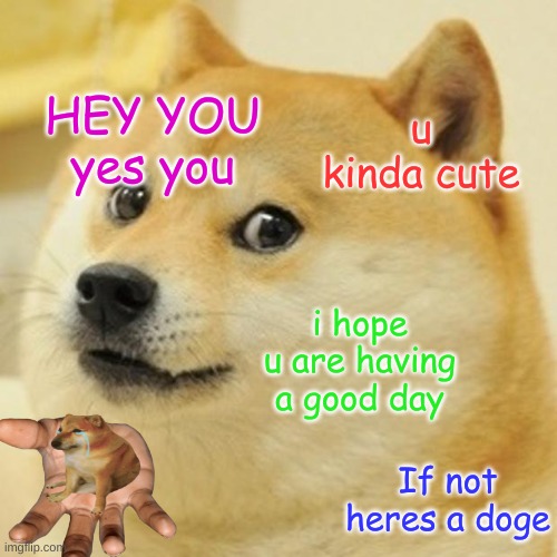 Plz have a good day | HEY YOU
yes you; u kinda cute; i hope u are having a good day; If not heres a doge | image tagged in memes,doge | made w/ Imgflip meme maker