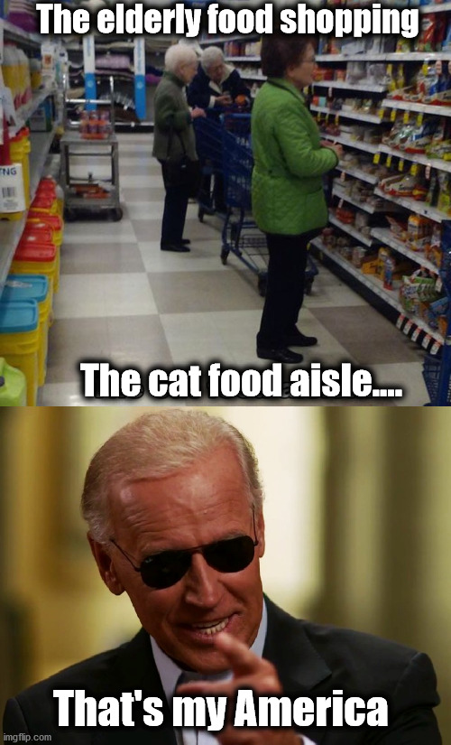 Like the 1970's all over again. | The elderly food shopping; The cat food aisle.... That's my America | image tagged in cool joe biden,political meme | made w/ Imgflip meme maker