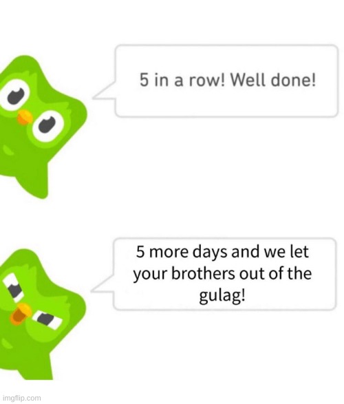 From (read under this and see who it is) | image tagged in duolingo,evilbird | made w/ Imgflip meme maker