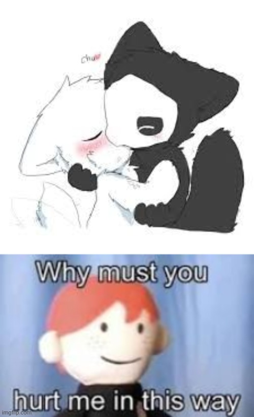 Its just.... too cute... | image tagged in why must you hurt me in this way,furry,changed,lin x puro,ships,cute | made w/ Imgflip meme maker