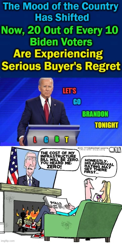 Polls Project The Mood of The People | image tagged in politics,joe biden,buyer's regret,too radical,we the people,polls | made w/ Imgflip meme maker