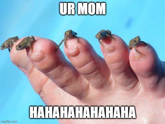 Ur mom | UR MOM; HAHAHAHAHAHAHA | image tagged in your mom,screw your mom,ur mom,frog,toes | made w/ Imgflip meme maker