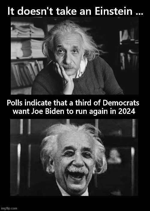 one third of democrats want biden to run again | It doesn't take an Einstein ... Polls indicate that a third of Democrats 
want Joe Biden to run again in 2024 | image tagged in biden,leftists | made w/ Imgflip meme maker