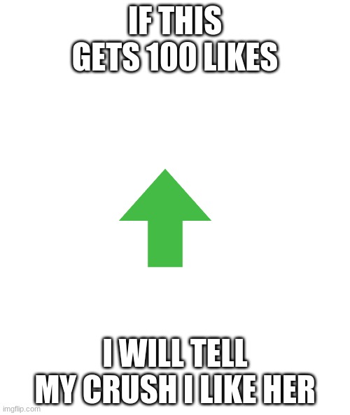 help | IF THIS GETS 100 LIKES; I WILL TELL MY CRUSH I LIKE HER | image tagged in white rectangle | made w/ Imgflip meme maker