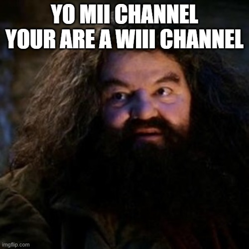 You're a wizard harry | YO MII CHANNEL YOUR ARE A WIII CHANNEL | image tagged in you're a wizard harry | made w/ Imgflip meme maker
