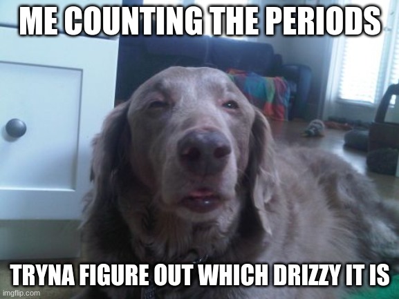 High Dog | ME COUNTING THE PERIODS; TRYNA FIGURE OUT WHICH DRIZZY IT IS | image tagged in memes,high dog | made w/ Imgflip meme maker
