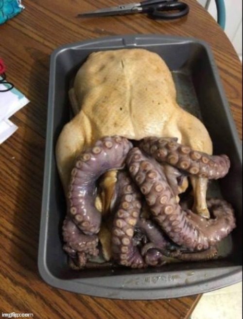 WTF IS THIS | image tagged in wtf,chicken,octopus | made w/ Imgflip meme maker