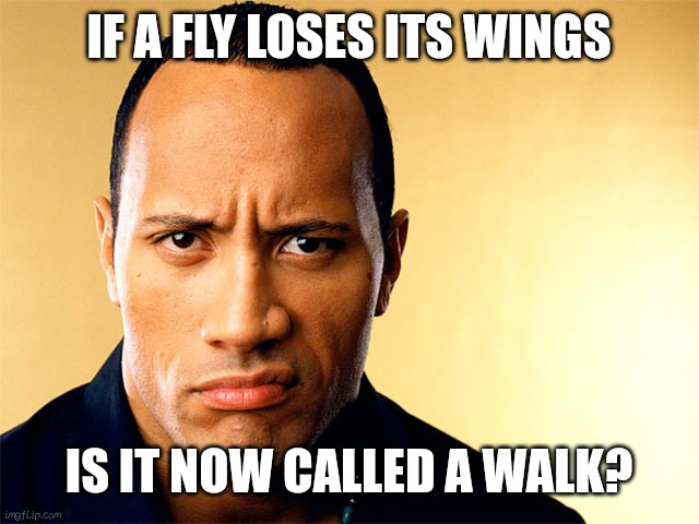 Doctor once told me | IF A FLY LOSES ITS WINGS; IS IT NOW CALLED A WALK? | image tagged in dwayne johnson | made w/ Imgflip meme maker