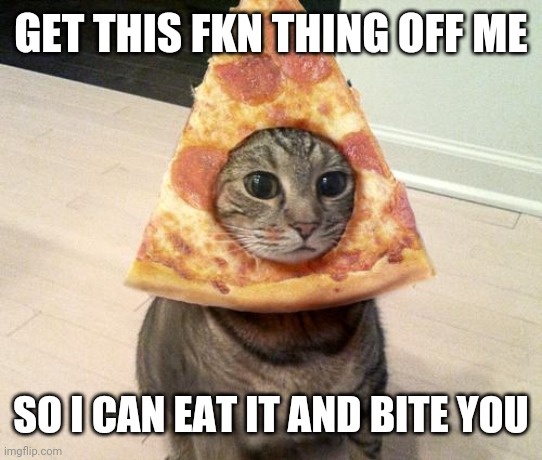 pizza cat | GET THIS FKN THING OFF ME; SO I CAN EAT IT AND BITE YOU | image tagged in pizza cat | made w/ Imgflip meme maker