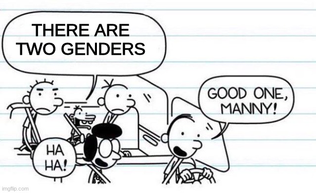 good one manny | THERE ARE TWO GENDERS | image tagged in good one manny | made w/ Imgflip meme maker