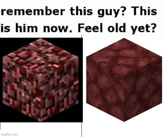 e | image tagged in minecraft | made w/ Imgflip meme maker