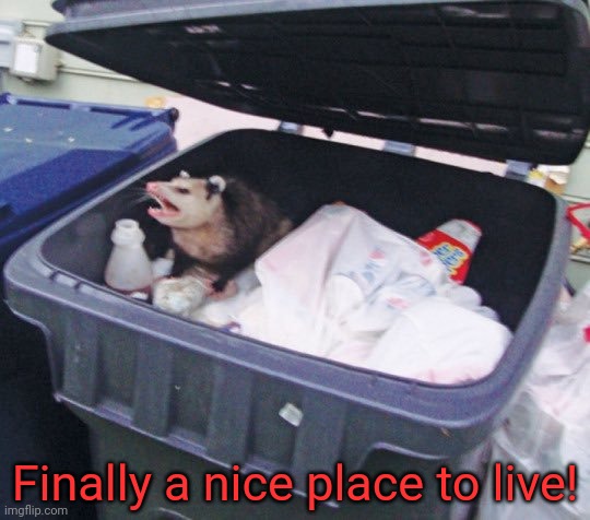 Premium real estate! | Finally a nice place to live! | image tagged in trash possum,possum,he needs food,possums are actually just rats | made w/ Imgflip meme maker
