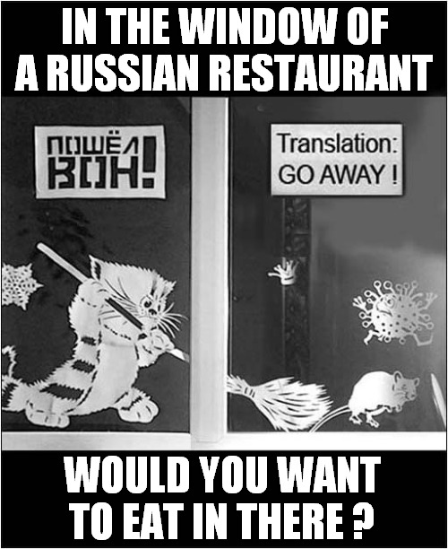 Urgent Environmental Heath Visit Required ! | IN THE WINDOW OF A RUSSIAN RESTAURANT; WOULD YOU WANT TO EAT IN THERE ? | image tagged in russian,restaurant,rats,covid | made w/ Imgflip meme maker