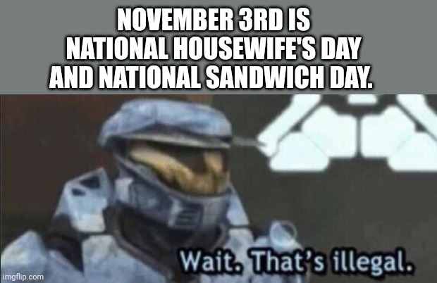 Wait. That's Illegal. | NOVEMBER 3RD IS NATIONAL HOUSEWIFE'S DAY AND NATIONAL SANDWICH DAY. | image tagged in wait that s illegal | made w/ Imgflip meme maker