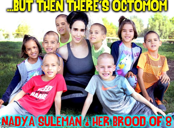 Good News: Believe it or not, the kids seem to be doing fine. | NADYA SULEMAN & HER BROOD OF 8 ...BUT THEN THERE'S OCTOMOM | image tagged in vince vance,multiple,babies,born,simultaneously,memes | made w/ Imgflip meme maker
