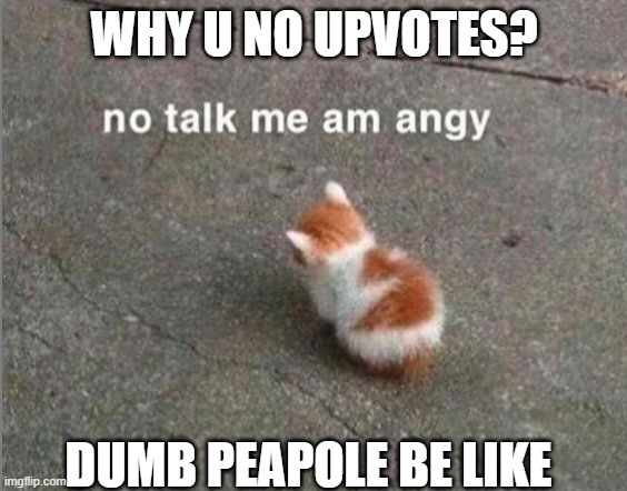 no talk me am angy | WHY U NO UPVOTES? DUMB PEAPOLE BE LIKE | image tagged in no talk me am angy | made w/ Imgflip meme maker