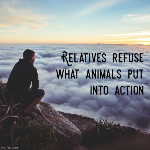 w h a | made w/ Imgflip meme maker