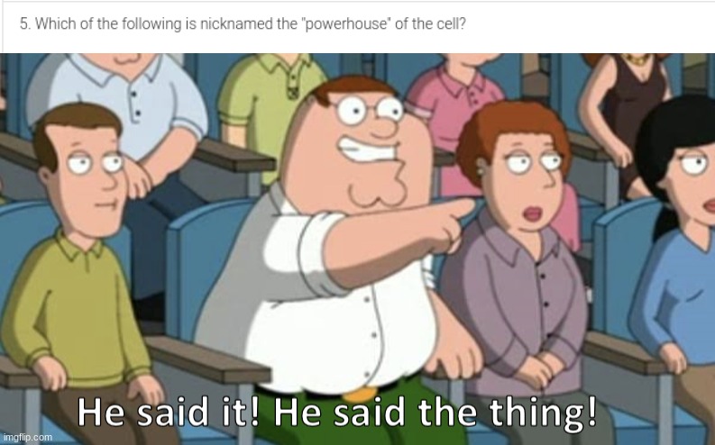 HE SAID IT!  HE SAID THE THING! | image tagged in he said the thing,school,family guy,memes,funny,biology | made w/ Imgflip meme maker