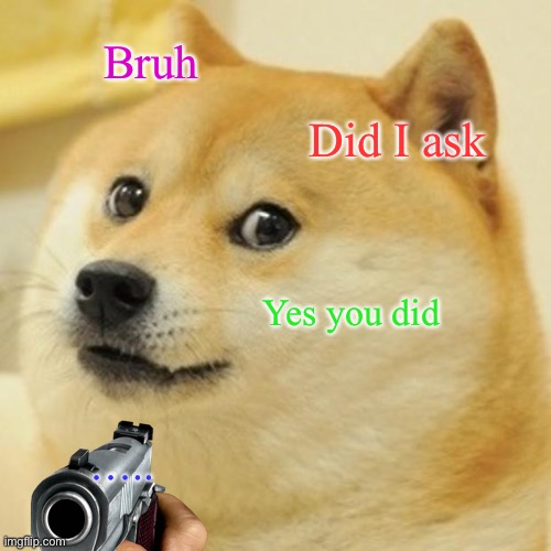 Doge | Bruh; Did I ask; Yes you did; ….. | image tagged in memes,doge | made w/ Imgflip meme maker