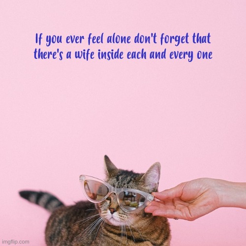 i t s a c a t - | made w/ Imgflip meme maker