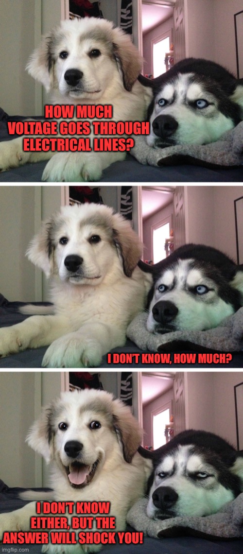 Bad pun dogs | HOW MUCH VOLTAGE GOES THROUGH ELECTRICAL LINES? I DON’T KNOW, HOW MUCH? I DON’T KNOW EITHER, BUT THE ANSWER WILL SHOCK YOU! | image tagged in bad pun dogs | made w/ Imgflip meme maker