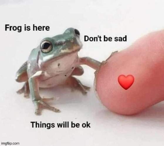 frog is here dont be sad | image tagged in frog is here dont be sad | made w/ Imgflip meme maker