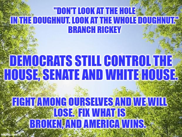 He couldn't end racism in Baseball. He settled for de-segregating it. America won. | "DON'T LOOK AT THE HOLE IN THE DOUGHNUT. LOOK AT THE WHOLE DOUGHNUT."
BRANCH RICKEY; DEMOCRATS STILL CONTROL THE HOUSE, SENATE AND WHITE HOUSE. FIGHT AMONG OURSELVES AND WE WILL LOSE.  FIX WHAT IS BROKEN, AND AMERICA WINS. | image tagged in sunshine trees | made w/ Imgflip meme maker